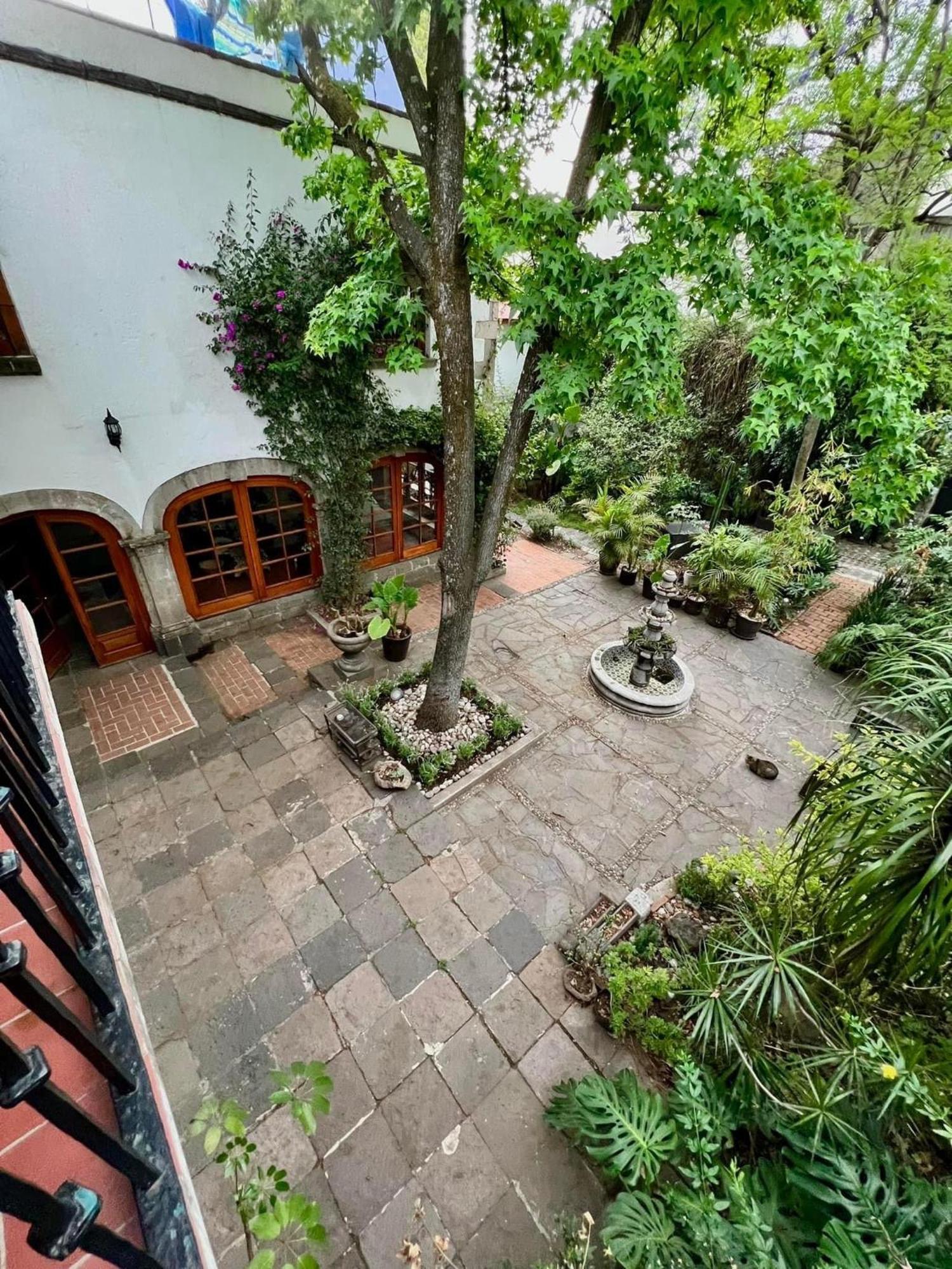 Boutique Hotel And Gallery In San Angel Inn Cidade do México Exterior foto